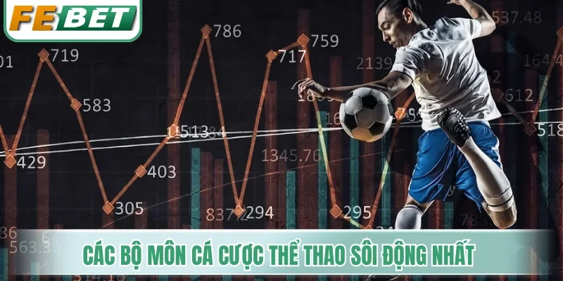 Các bộ môn cá cược thể thao sôi động nhất