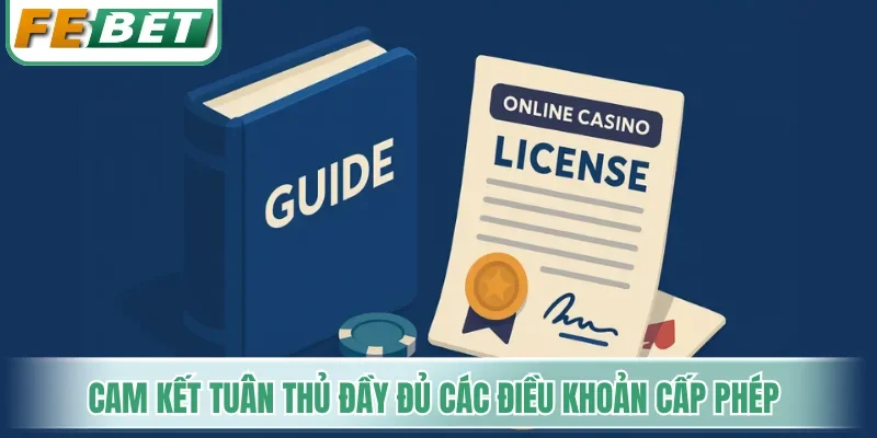 Cam kết tuân thủ đầy đủ các điều khoản cấp phép