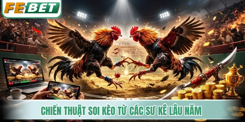 Chiến thuật soi kèo từ các sư kê lâu năm