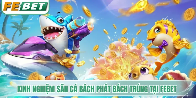 Kinh nghiệm săn cá bách phát bách trúng tại Febet