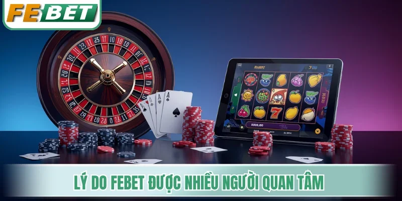 Lý do Febet được nhiều người quan tâm