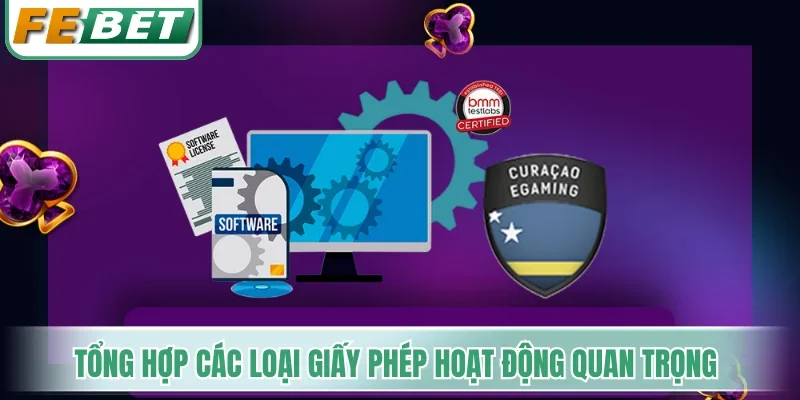 Tổng hợp các loại giấy phép hoạt động quan trọng nhất