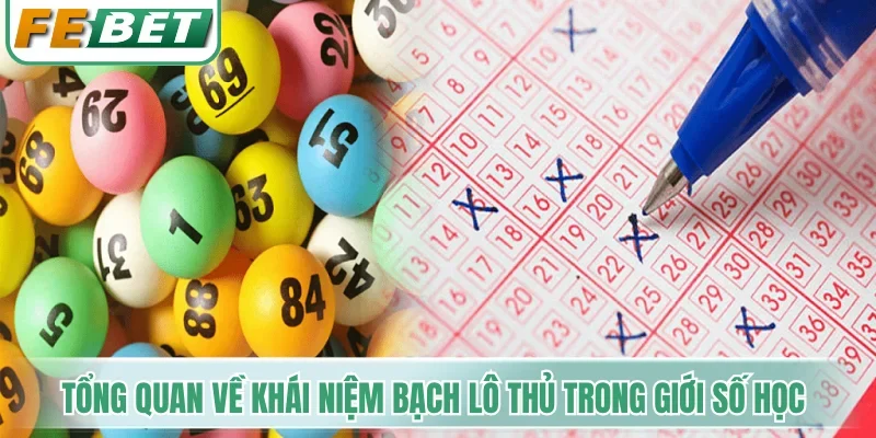 Tổng quan về khái niệm Bạch lô thủ trong giới số học